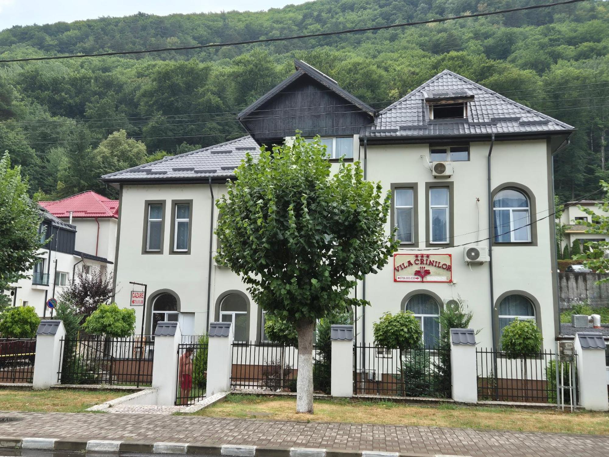 Vila Crinilor Calimanesti Exterior foto